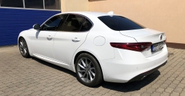 1 ALFA (4).jpg