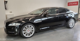 JAGUÁR 1 (2).jpg