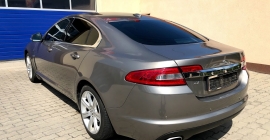JAGUÁR 1 (3).jpg