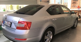 SKODA-1 (24).JPG