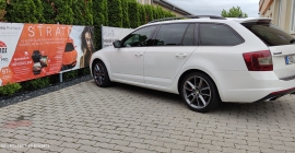 SKODA-1 (1).jpg