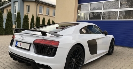 AUDI R8,1 (21).jpg