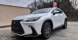 LEXUS NX 450h+ (25).jpg