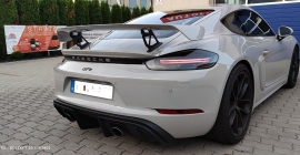 PORSCHE GT4 (19).jpg